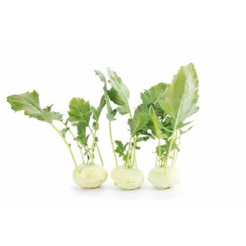 Karalábé - Beas RZ F1