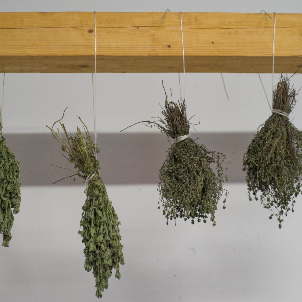 Fűszerek, gyógynövények