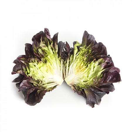 Salanova saláta - Kalat RZ - 25 szem