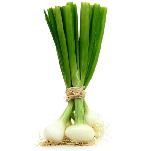 Hagyma Witte van Lissabon BIO