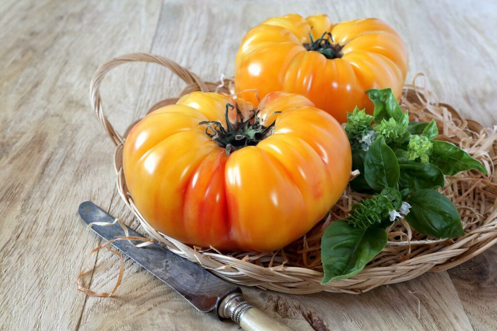 Paradicsom - Ananas - 5 szem