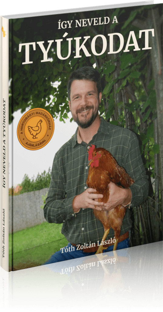 Tóth Zoltán László: Így neveld a tyúkodat