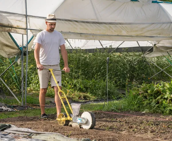 https___www.orybarnabas.hu_assets_front_images_books_biointenziv_preferences_img_1