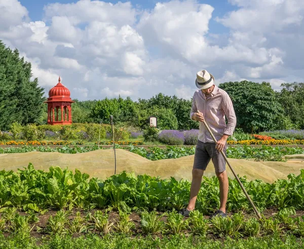 https___www.orybarnabas.hu_assets_front_images_books_biointenziv_preferences_img_2