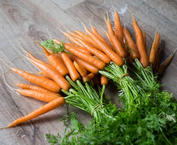 https___www.orybarnabas.hu_assets_front_images_books_biointenziv_preferences_img_4