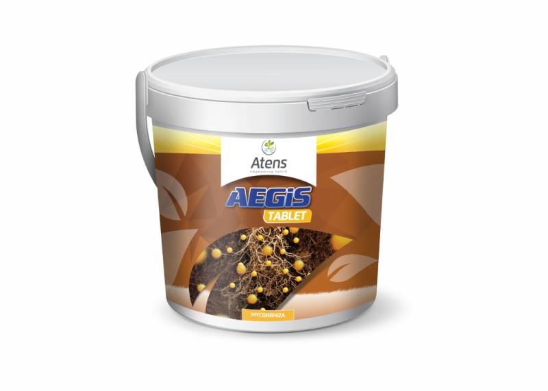 Aegis tabletta 10 darabos