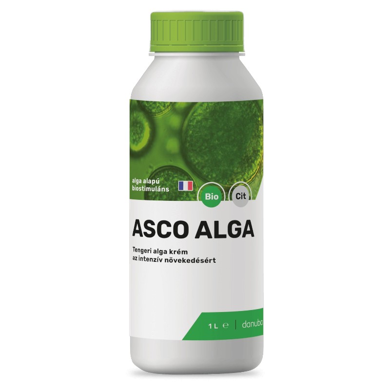 Asco Alga 1 liter - Tengeri alga krém az intenzív növekedésért