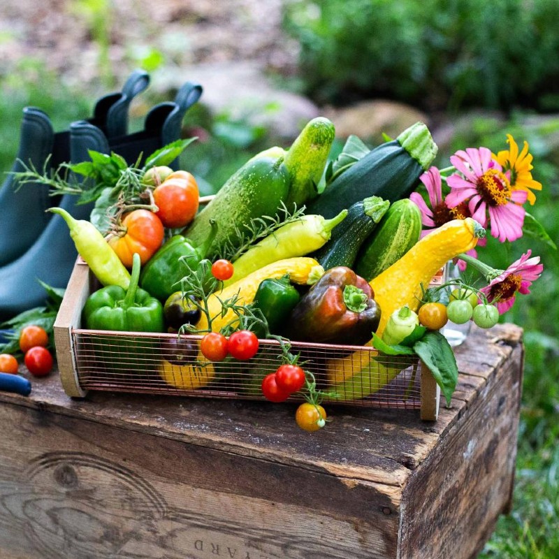 A 3 Órás Kert BIO Nyári zöldségek magcsomag
