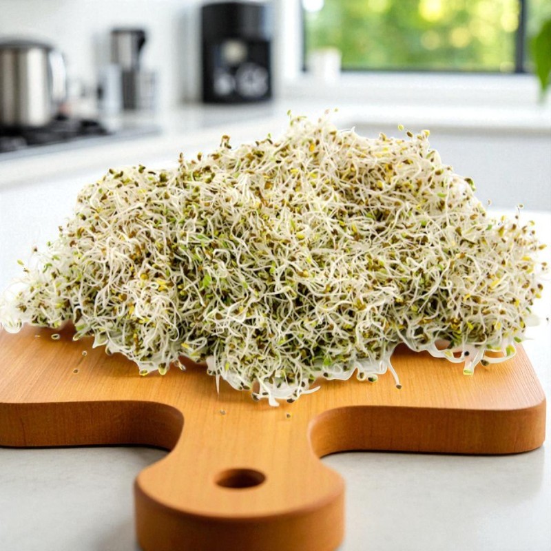 Bíborhere csíramag (100 gr)