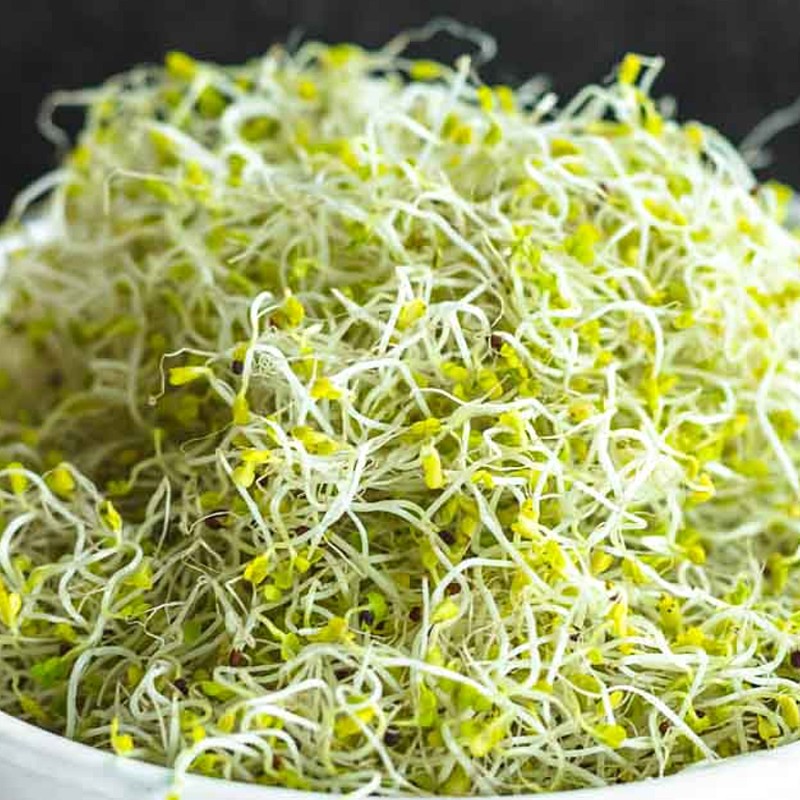 Brokkoli csíramag (100 gr)