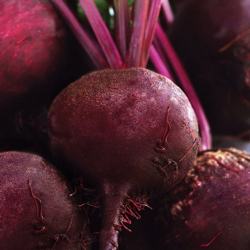 Cékla Detroit 2 BIO