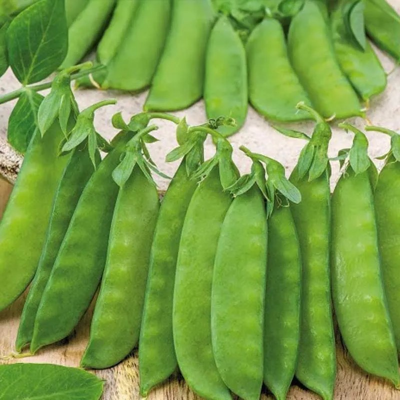 Cukorborsó De Grace - 10 gr