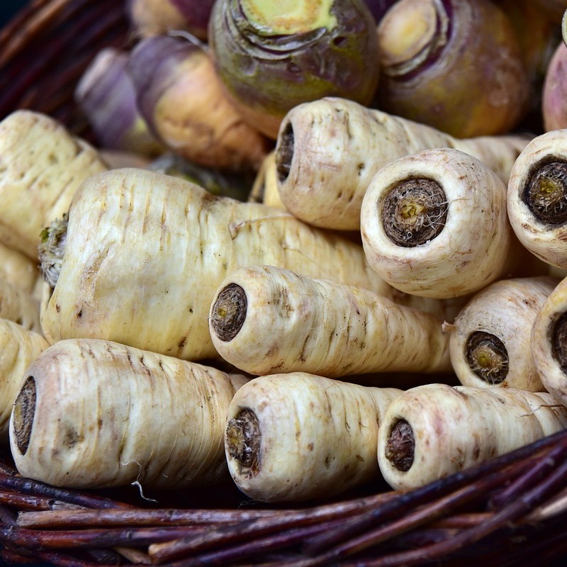 Gyökérpetrezselyem, pasztinák, zeller