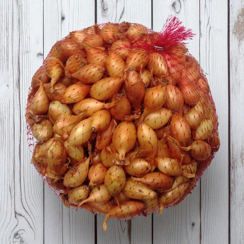 Makói dughagyma CR áttelelő típus (250 gr)