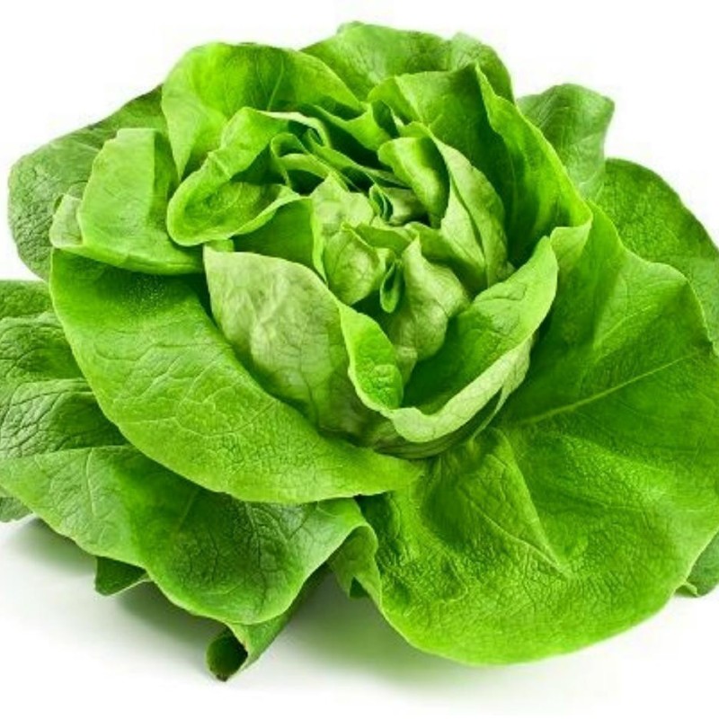 May Queen fejes saláta BIO