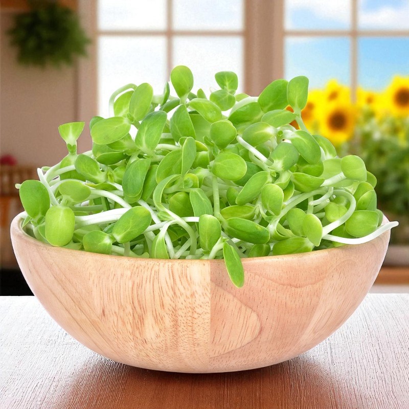 Napraforgó csíramag (150 gr)