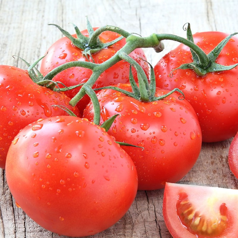 Paradicsom Marmande BIO