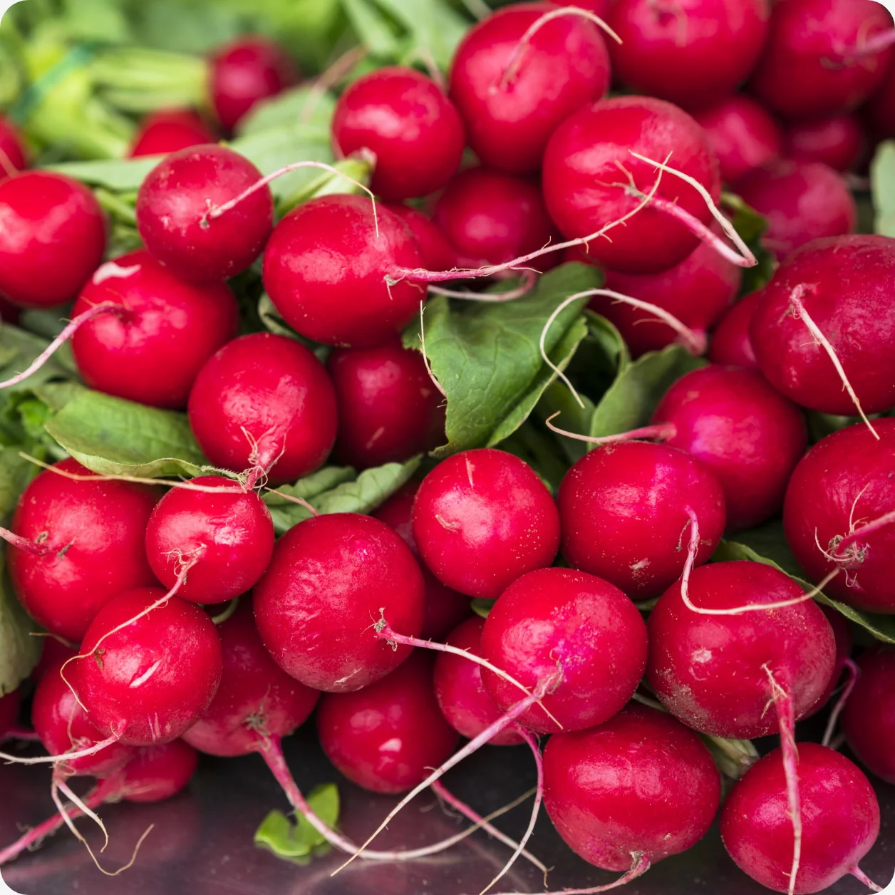 Retek Cherry Belle 80 g