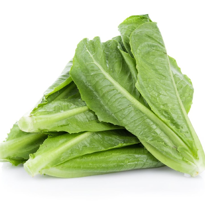 Római Saláta Parris Island Cos BIO