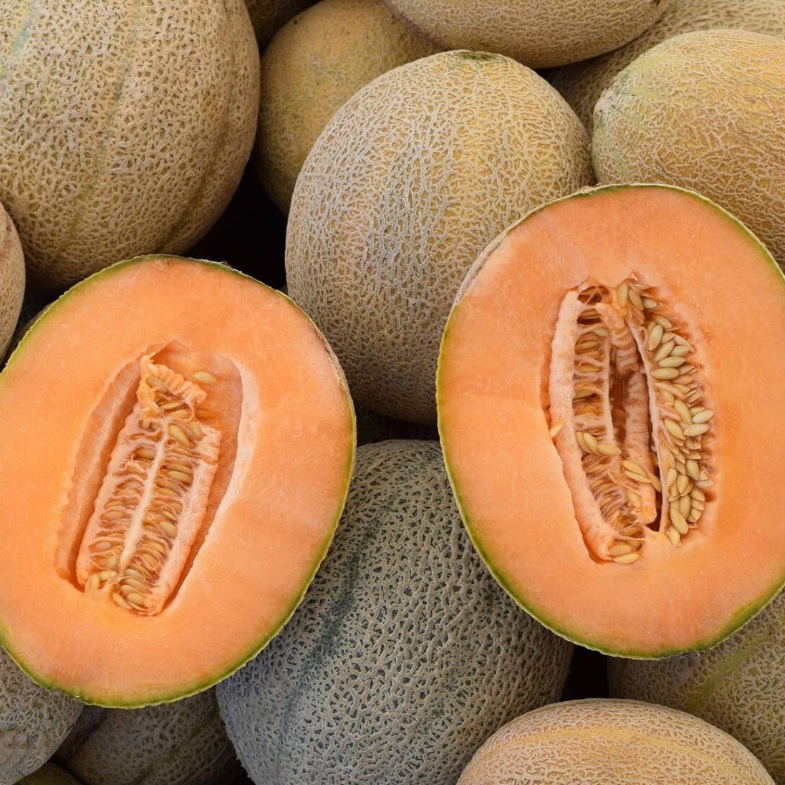 Sárgadinnye Retato degli Ortolani BIO