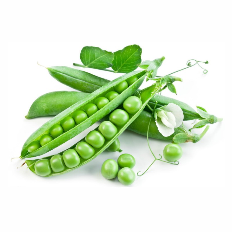 Velőborsó Utrillo BIO