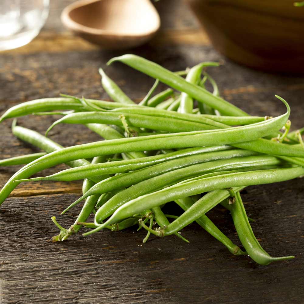 Zöldbab Cannellino BIO