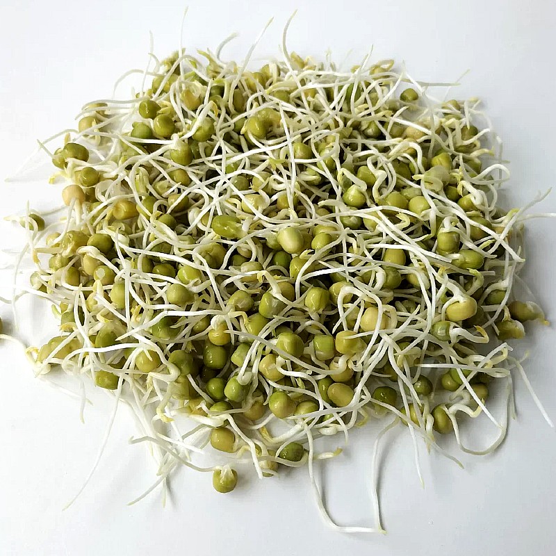 Zöldborsó (maple típus, salátaborsó, nagylevelű) csíramag (150 gr)