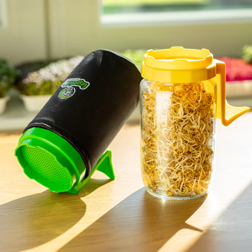 Csírakuckó Üvegedényhez