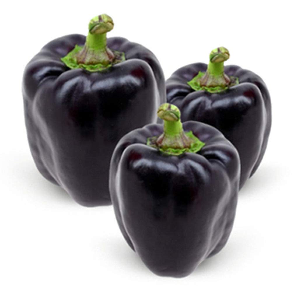 Édes paprika Andromeda F1