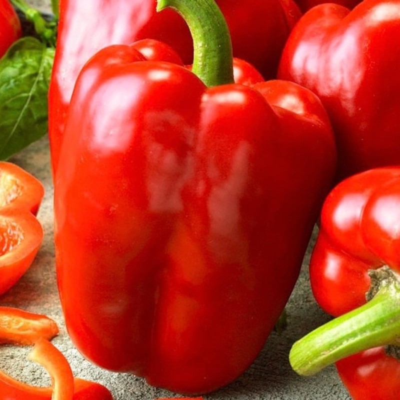 Édes paprika Granova