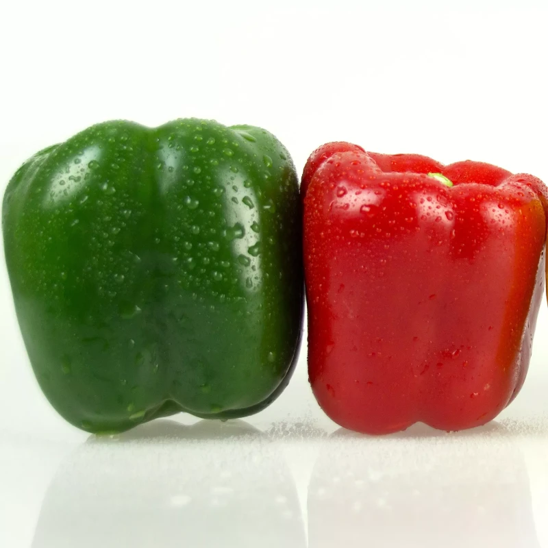 Édes paprika Rubika F1