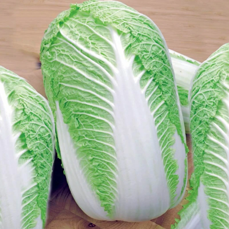 Kínai kel Capitol F1