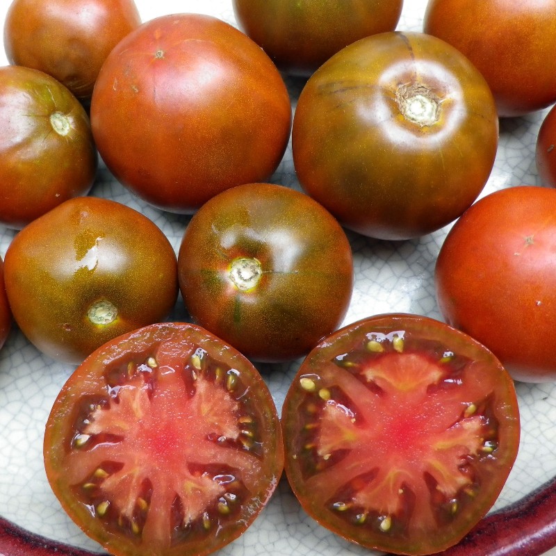 Paradicsom Black Prince