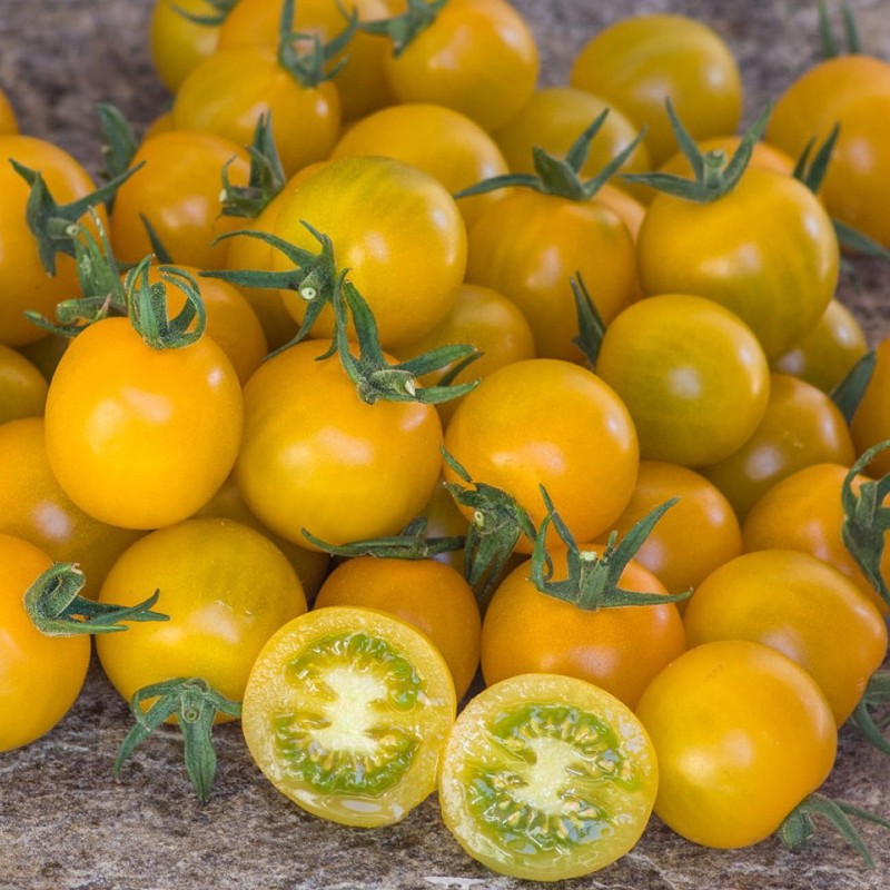 Koktélparadicsom Goldkrone