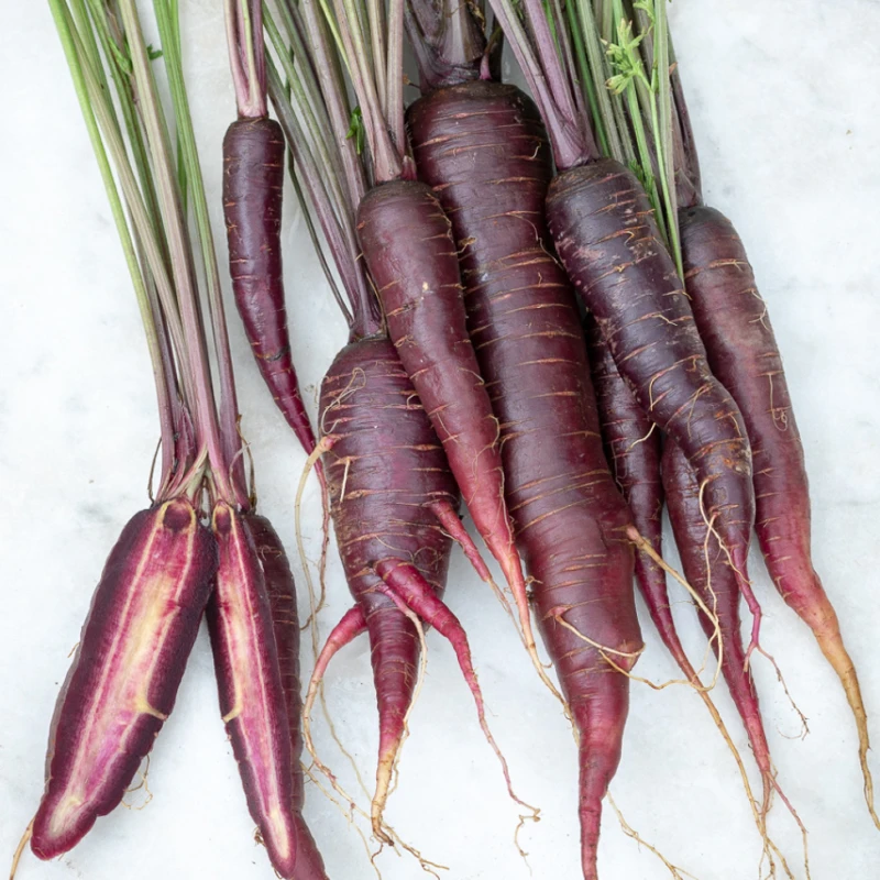 Sárgarépa Purple Sun F1